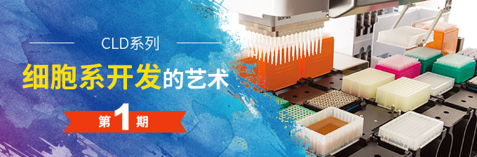 細胞系開發(fā)的藝術(shù)
